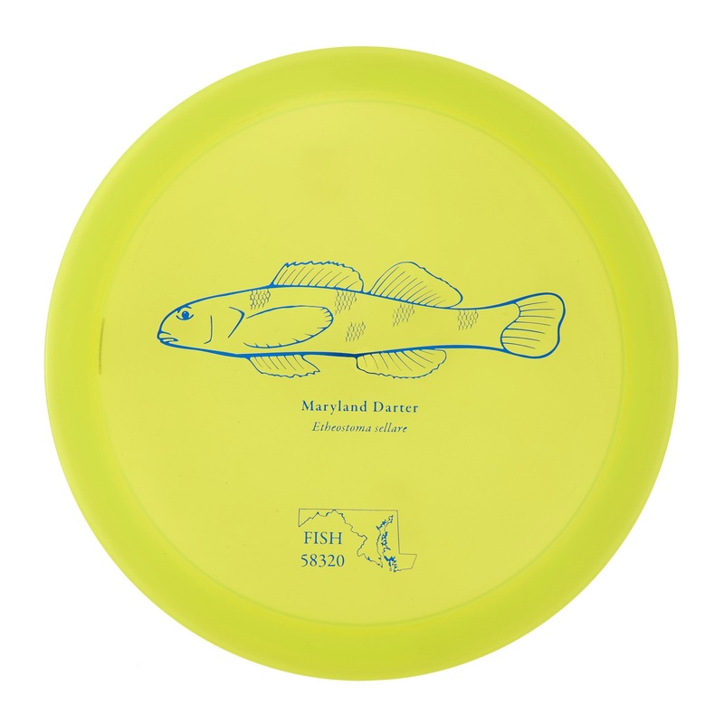 Discraft Raptor – 2023 Andrew Fish Team Series Z-Line 174g | Style 0014