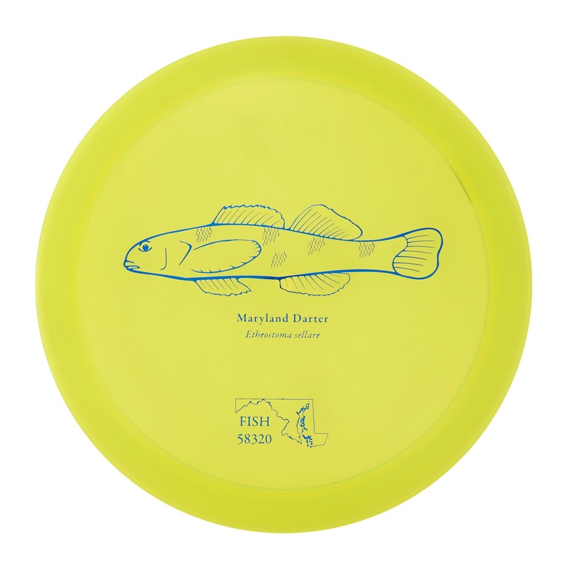 Discraft Raptor – 2023 Andrew Fish Team Series Z-Line 175g | Style 0026
