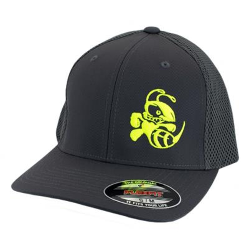 Discraft FlexFit Snapback Curved Bill Hat – Buzzz Design