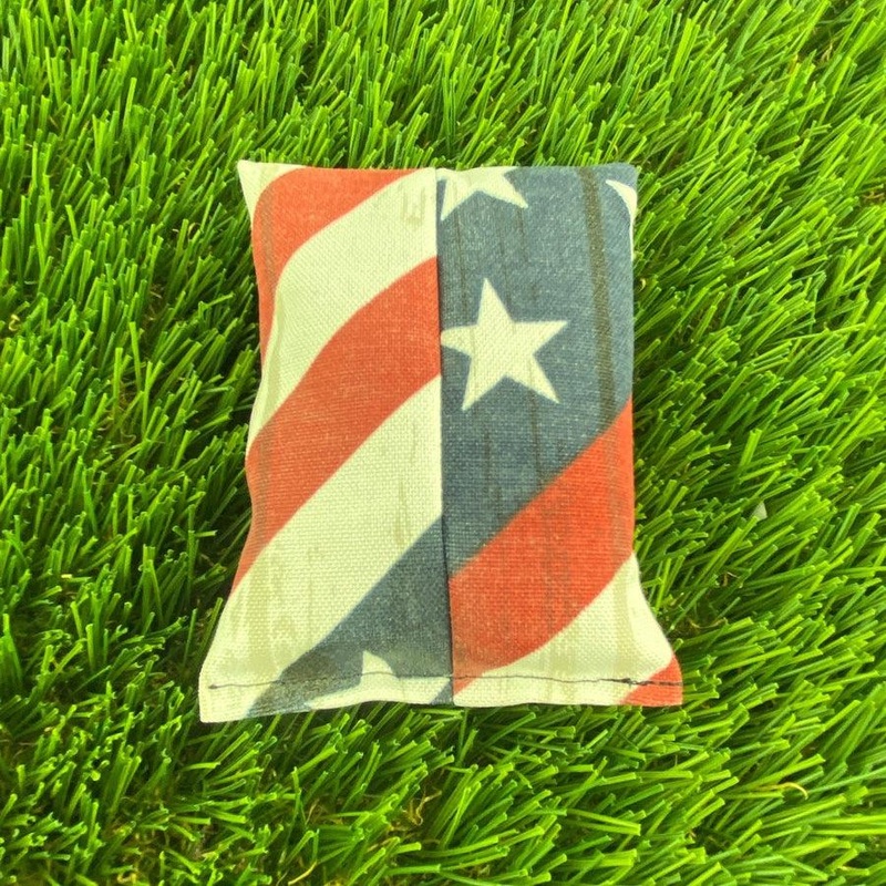 Dynamic Discs Dirtbag – USA